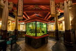 Shogun Restaurant image