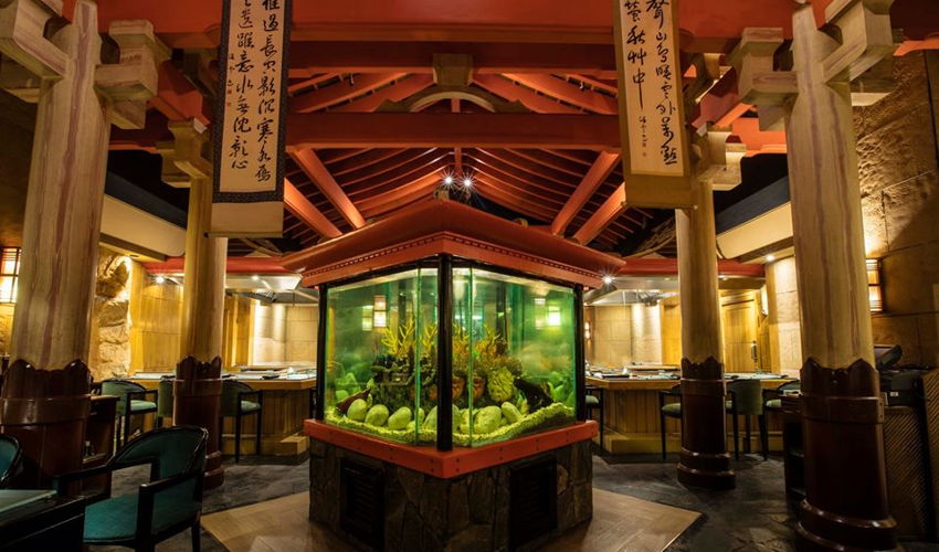 صورة Shogun Restaurant
