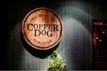 Copper Dog image