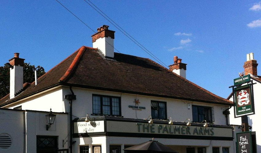 The palmer arms image